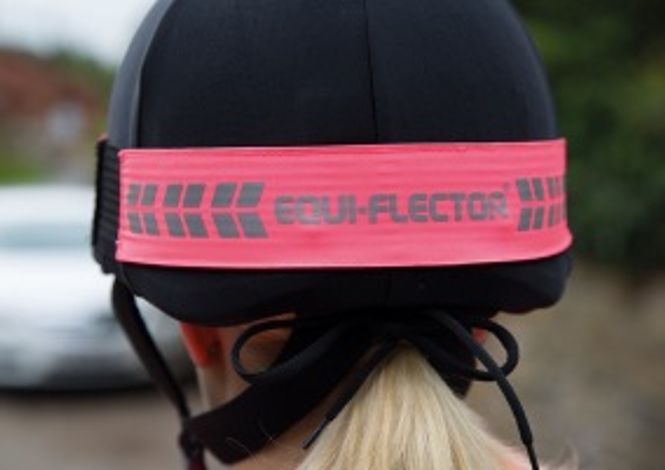 Huvudbild Hjälmreflex Rosa - Equi-Flector®