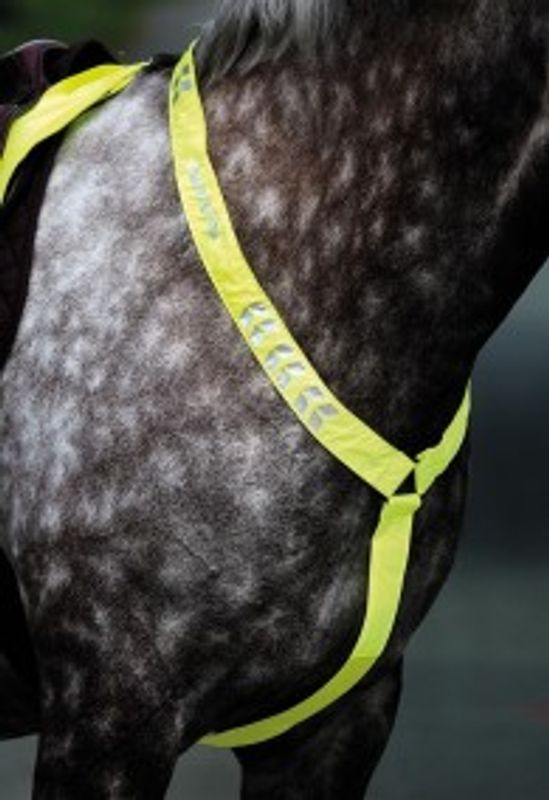 EQUI-FLECTOR® Reflexbrösta - Gul