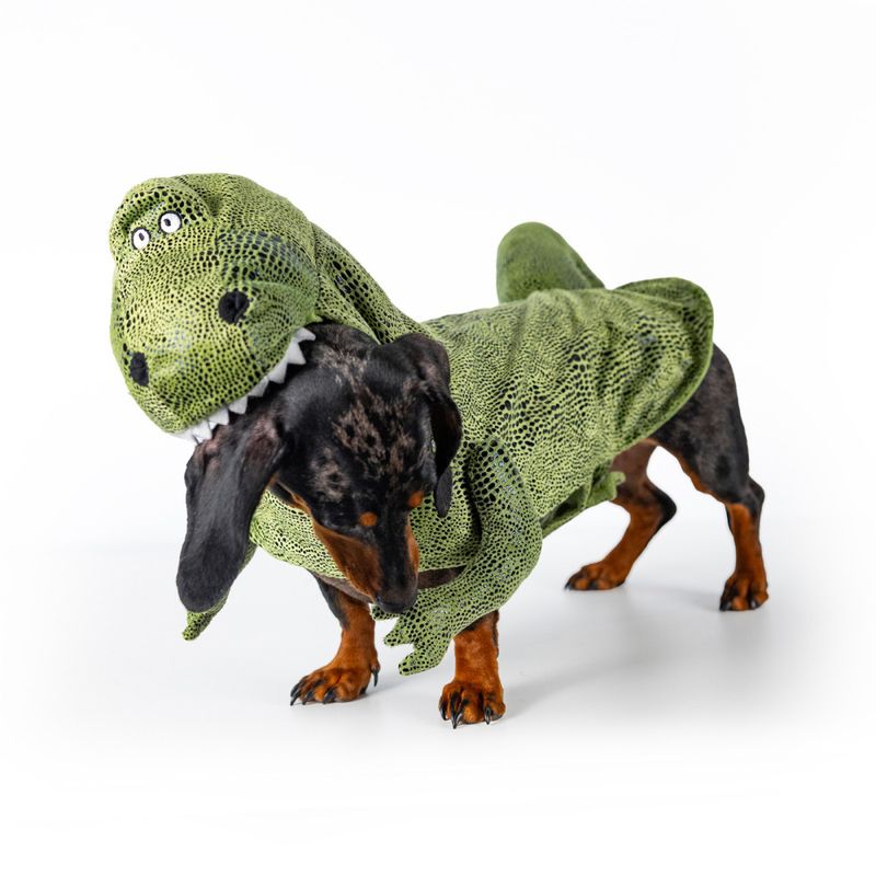 Maskeradkostym för hund, Dino