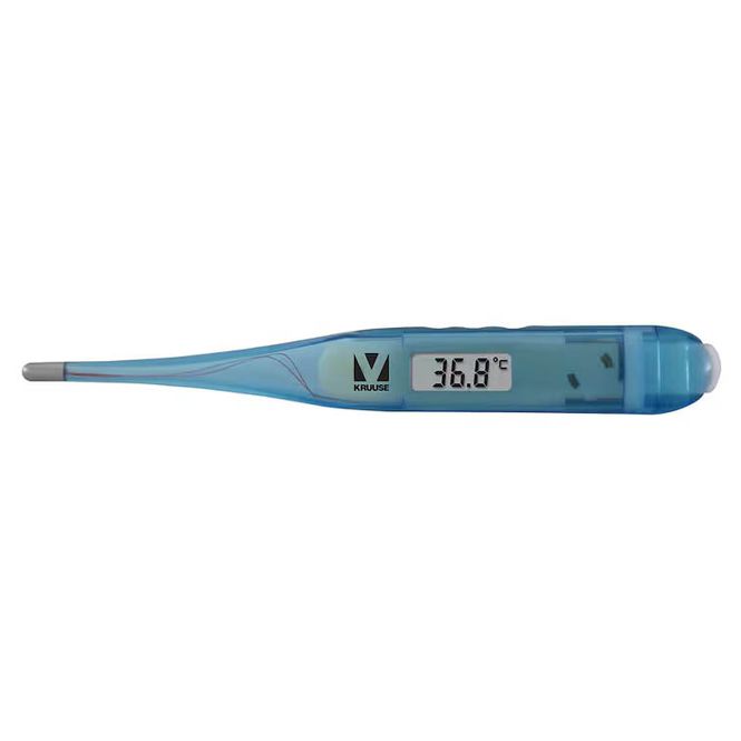 Huvudbild Digital febertermometer