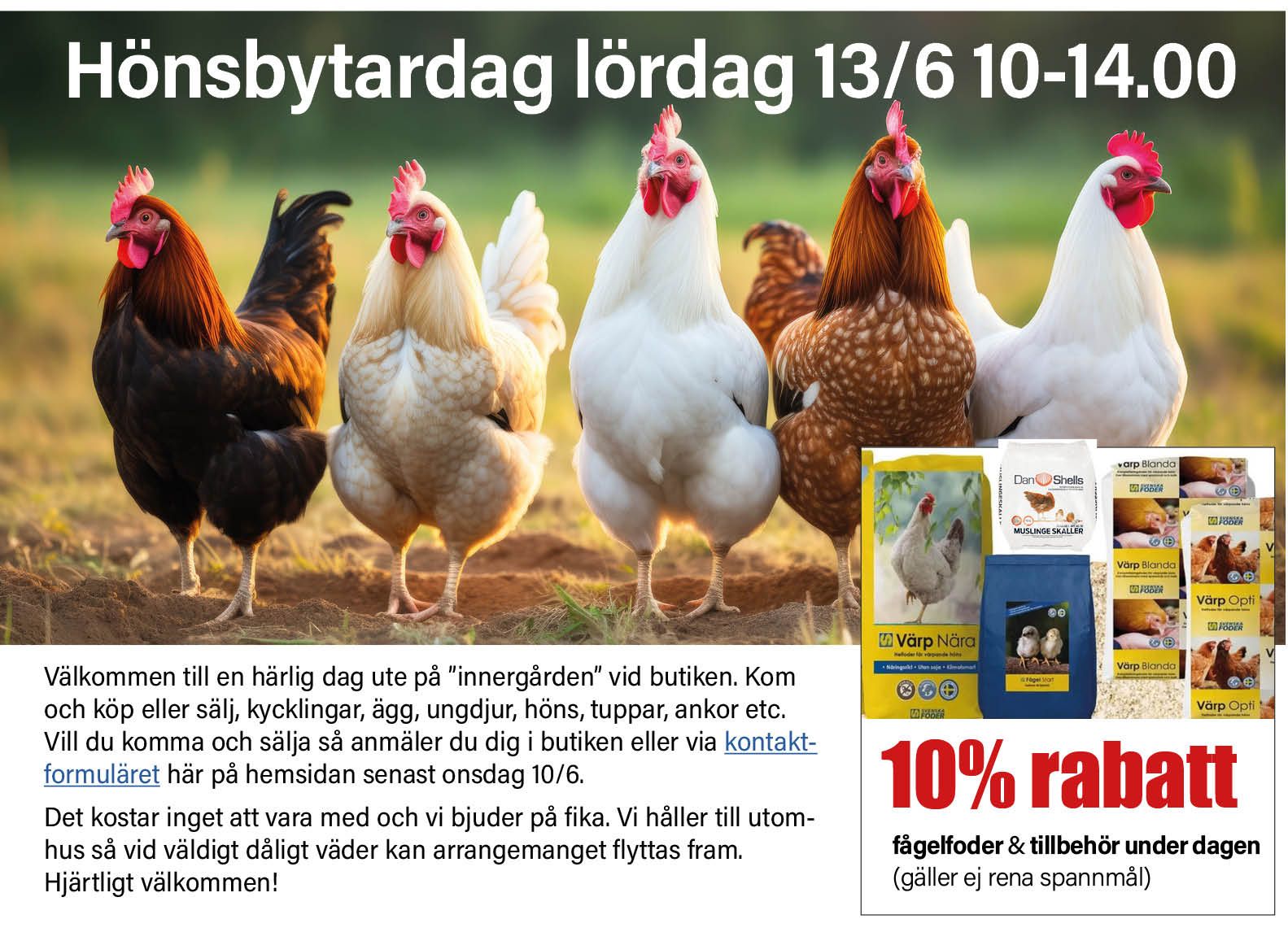 lippo hästtäcken