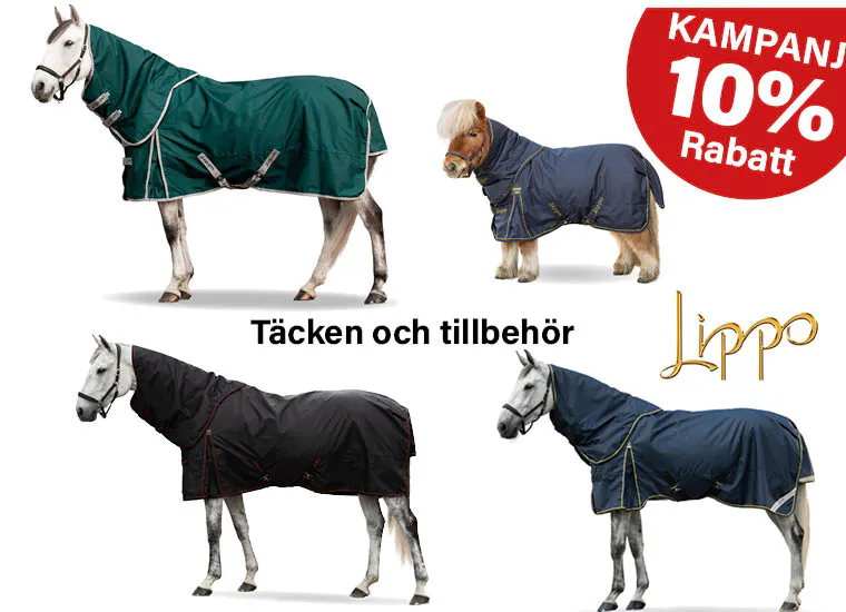 lippo hästtäcken