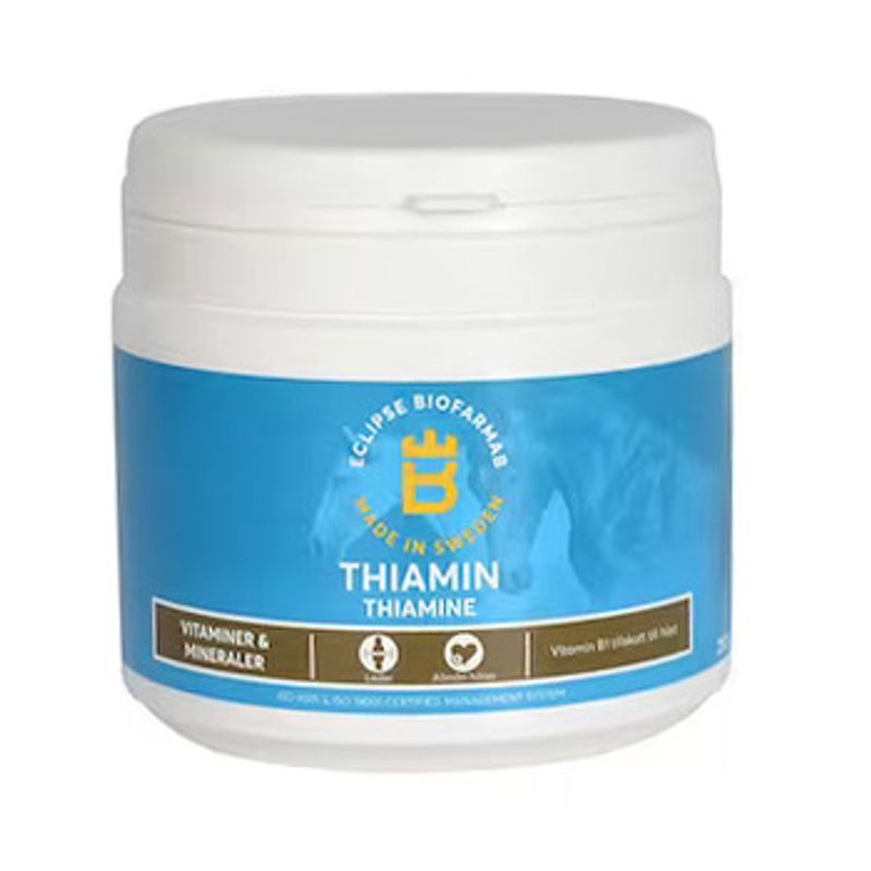 Thiamin  250g